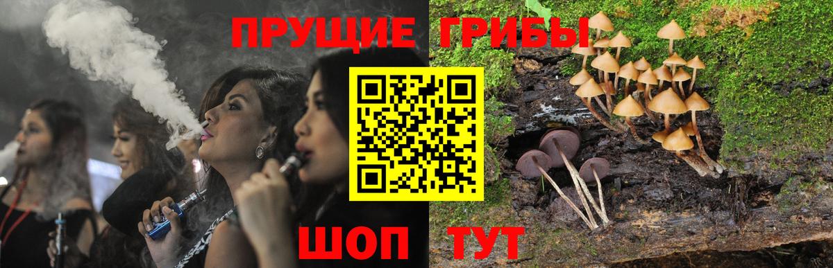 Лысьва  Галлюциногенные грибы Psilocybine cubensis  Вход с VPN 